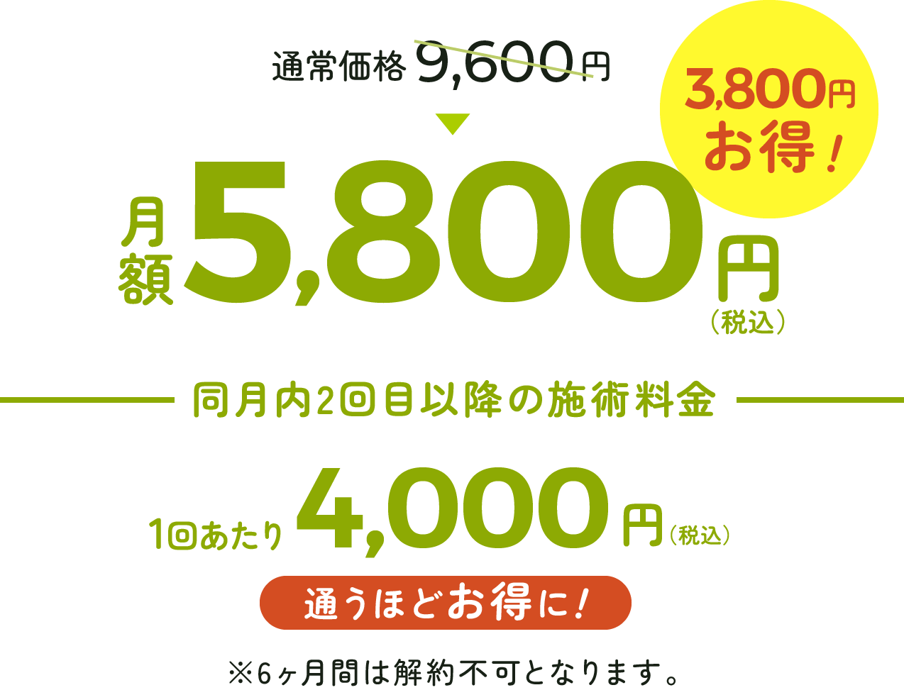 整体30分コース
